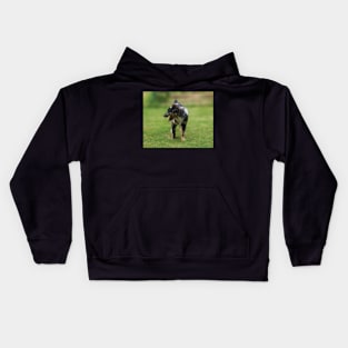 Stunning Australian Shepheard Puppy Kids Hoodie